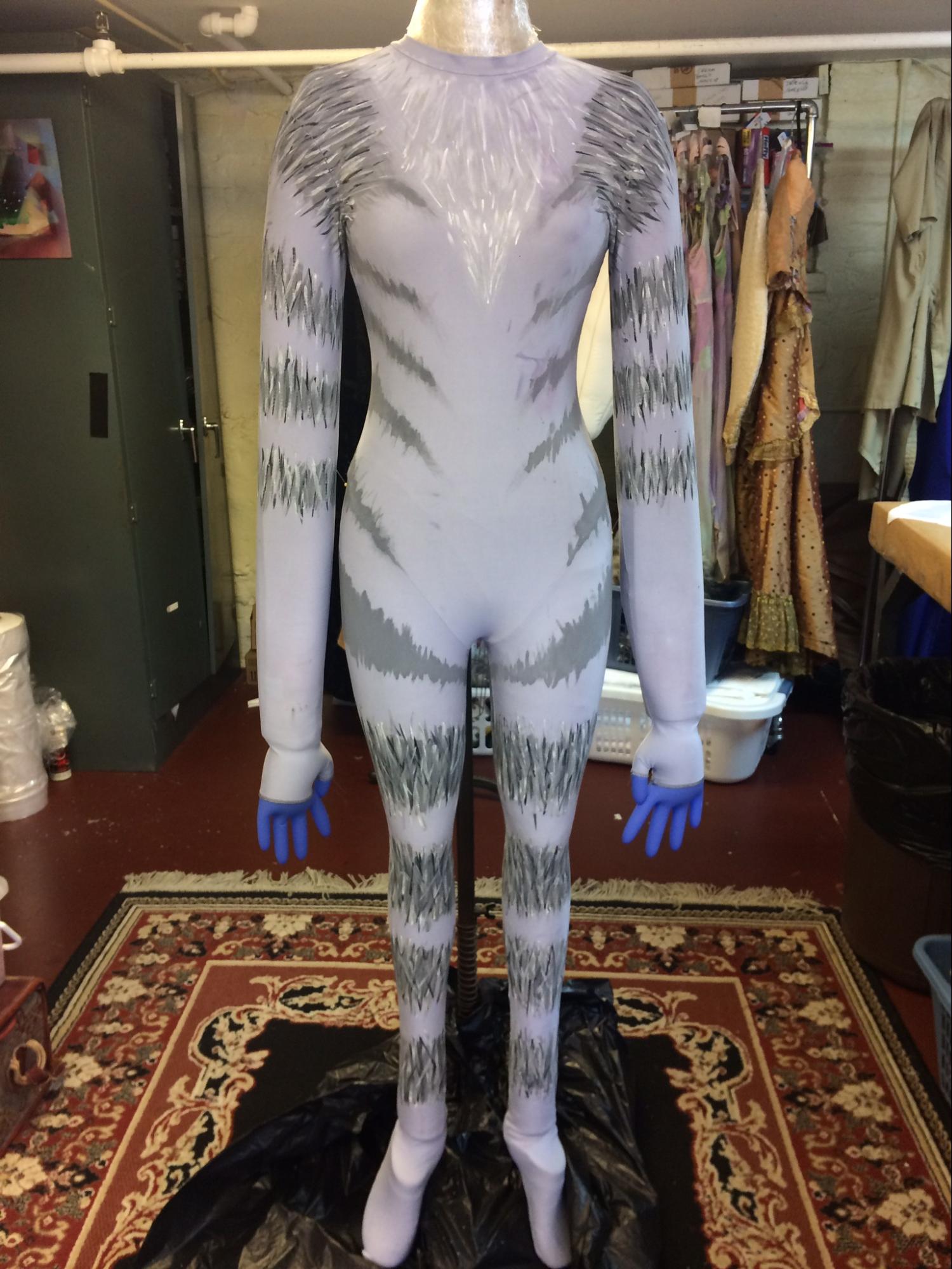 The Washington Ballet